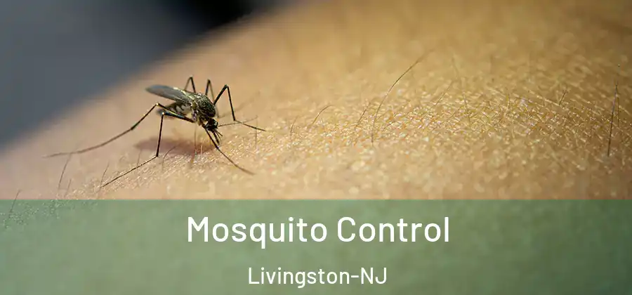 Mosquito Control Livingston-NJ