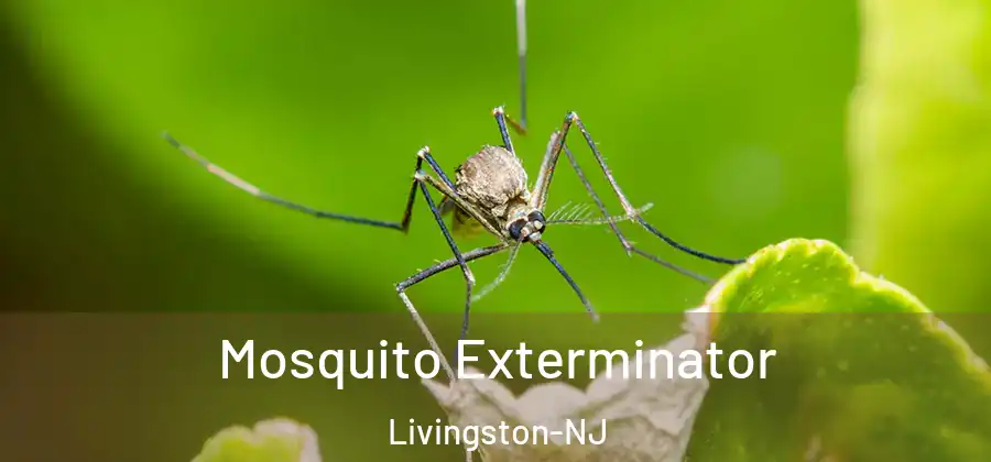 Mosquito Exterminator Livingston-NJ