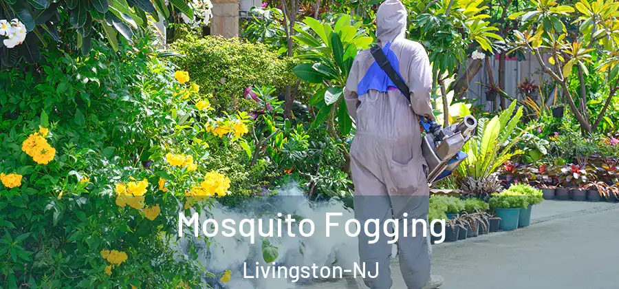 Mosquito Fogging Livingston-NJ