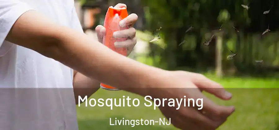 Mosquito Spraying Livingston-NJ