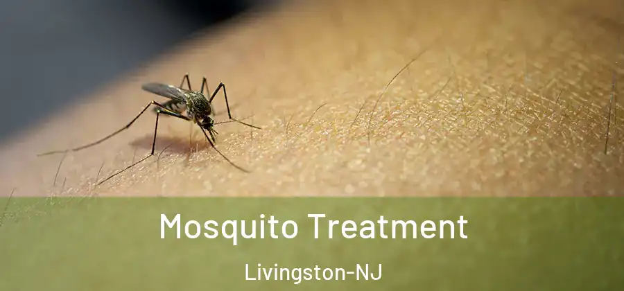Mosquito Treatment Livingston-NJ