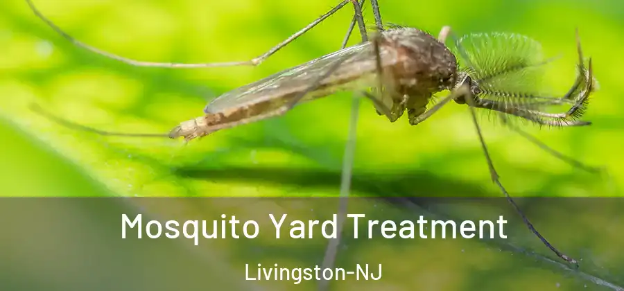 Mosquito Yard Treatment Livingston-NJ