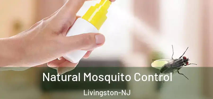 Natural Mosquito Control Livingston-NJ