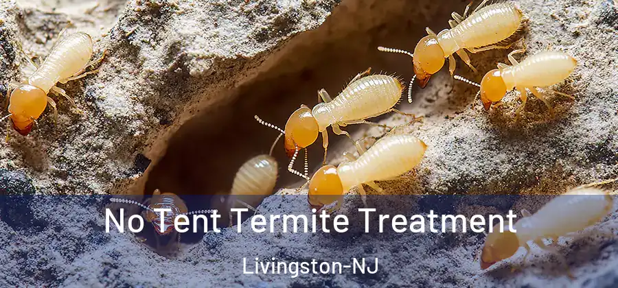  No Tent Termite Treatment Livingston-NJ