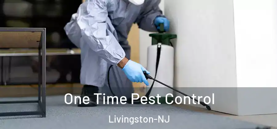 One Time Pest Control Livingston-NJ