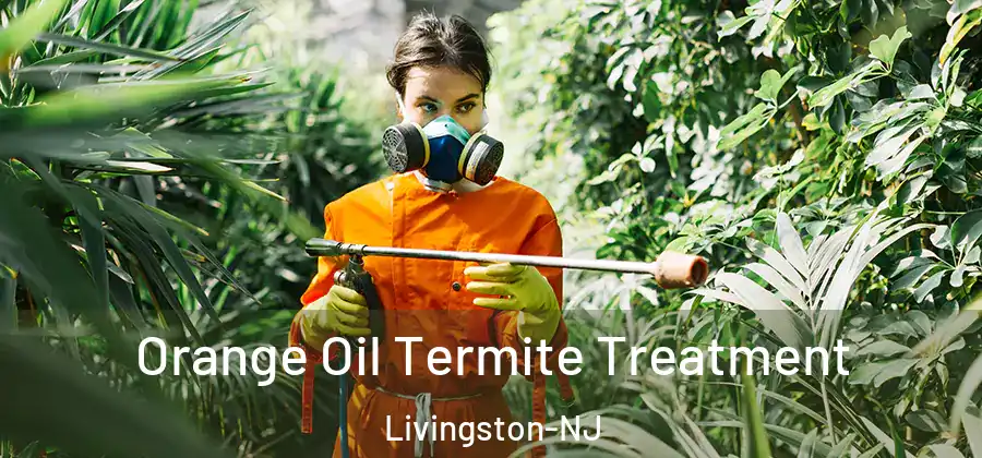 Orange Oil Termite Treatment Livingston-NJ