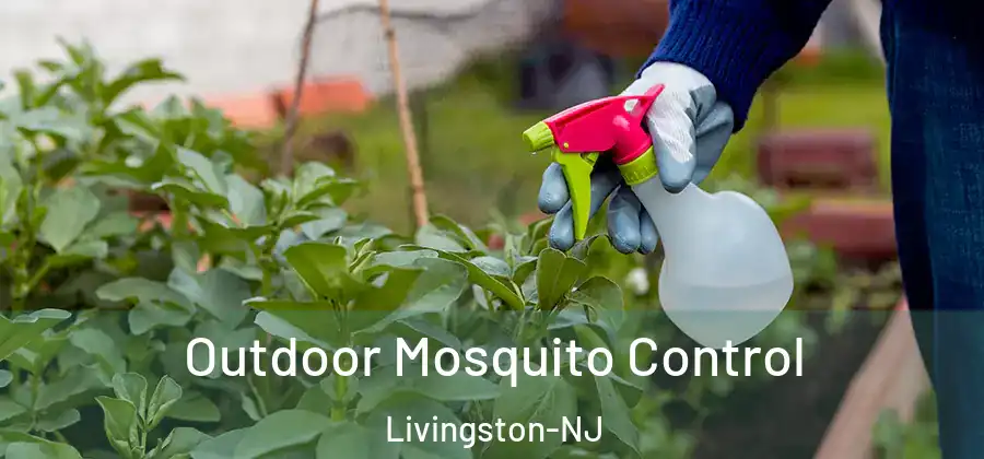 Outdoor Mosquito Control Livingston-NJ