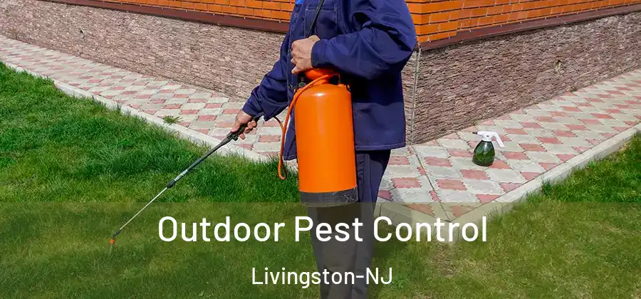 Outdoor Pest Control Livingston-NJ