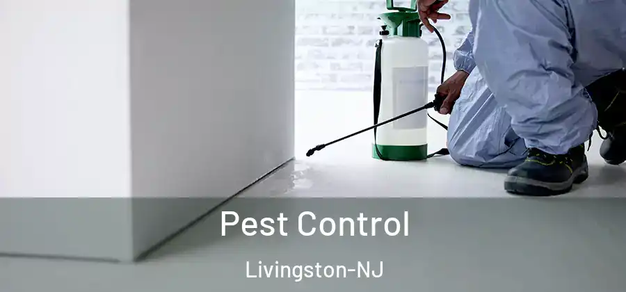 Pest Control Livingston-NJ