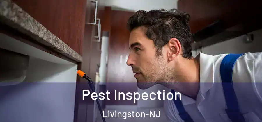 Pest Inspection Livingston-NJ