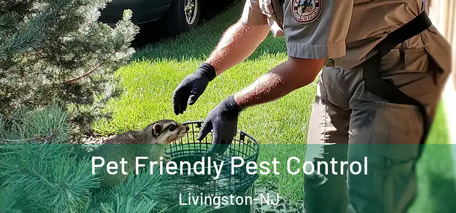 Pet Friendly Pest Control Livingston-NJ