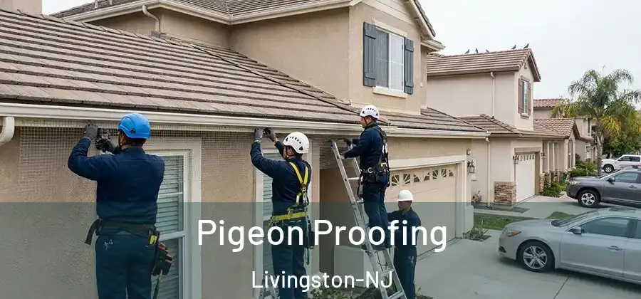 Pigeon Proofing Livingston-NJ