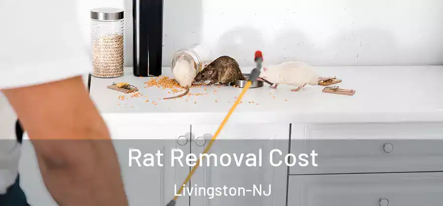Rat Removal Cost Livingston-NJ