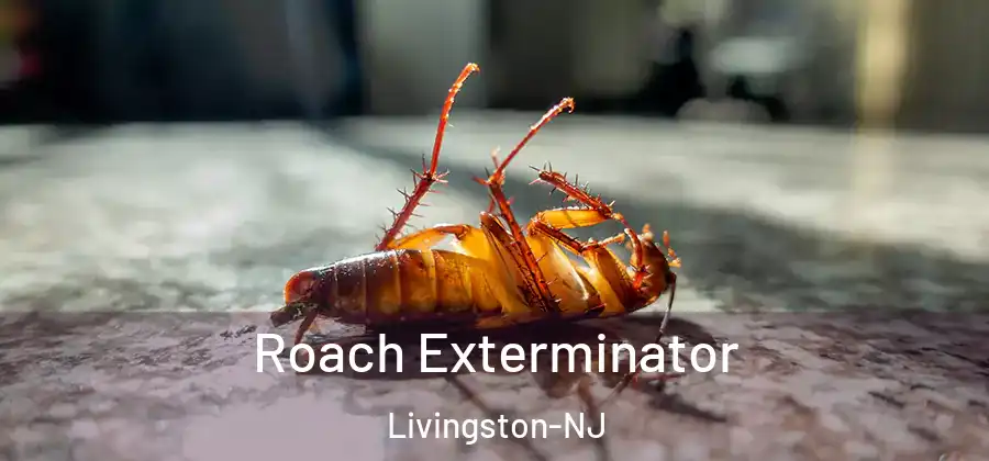 Roach Exterminator Livingston-NJ