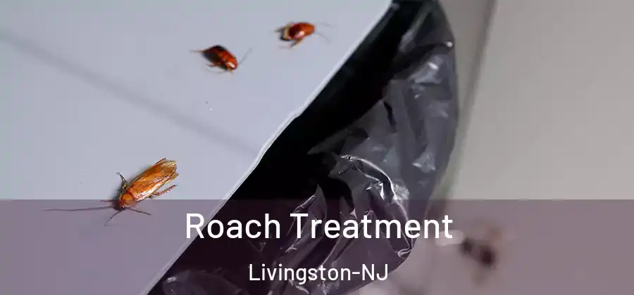 Roach Treatment Livingston-NJ