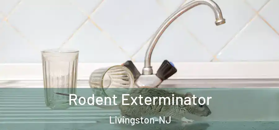 Rodent Exterminator Livingston-NJ