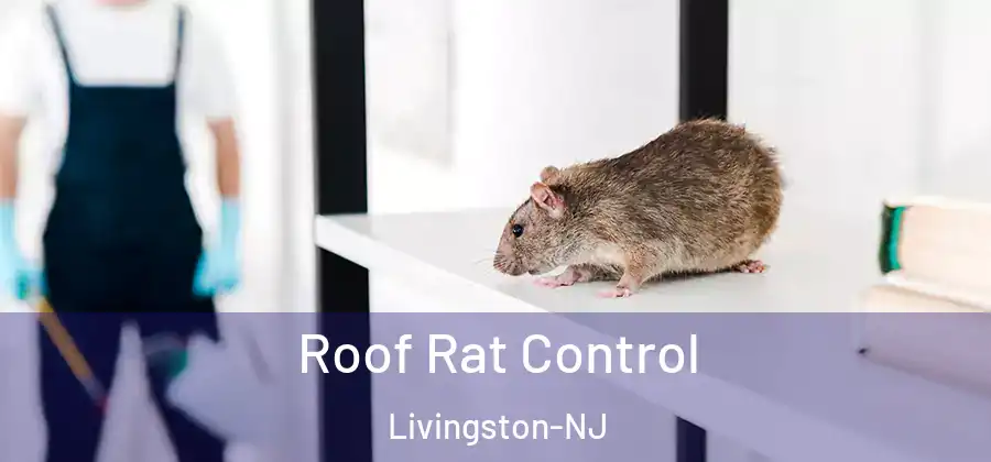 Roof Rat Control Livingston-NJ