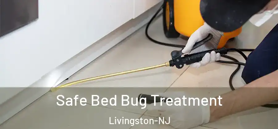 Safe Bed Bug Treatment Livingston-NJ