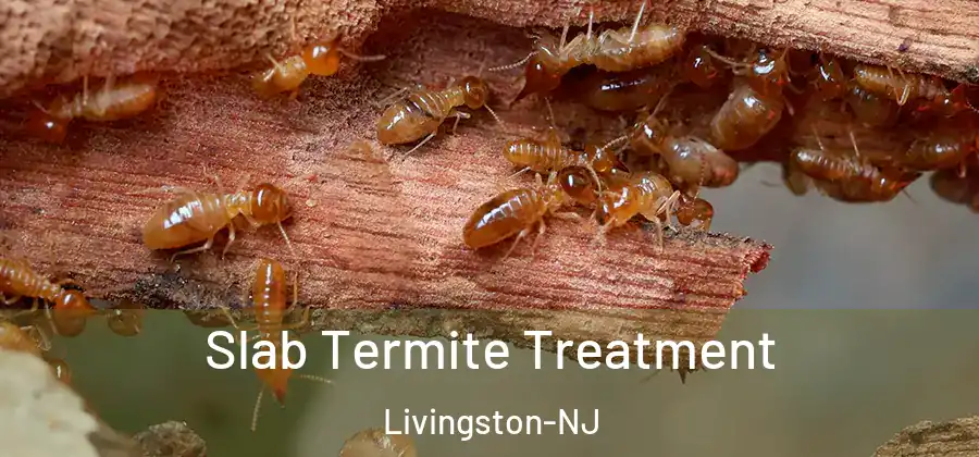 Slab Termite Treatment Livingston-NJ