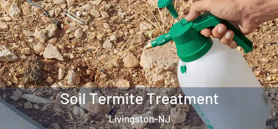 Soil Termite Treatment Livingston-NJ