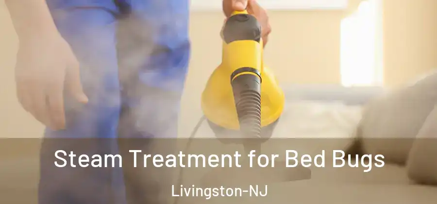 Steam Treatment for Bed Bugs Livingston-NJ