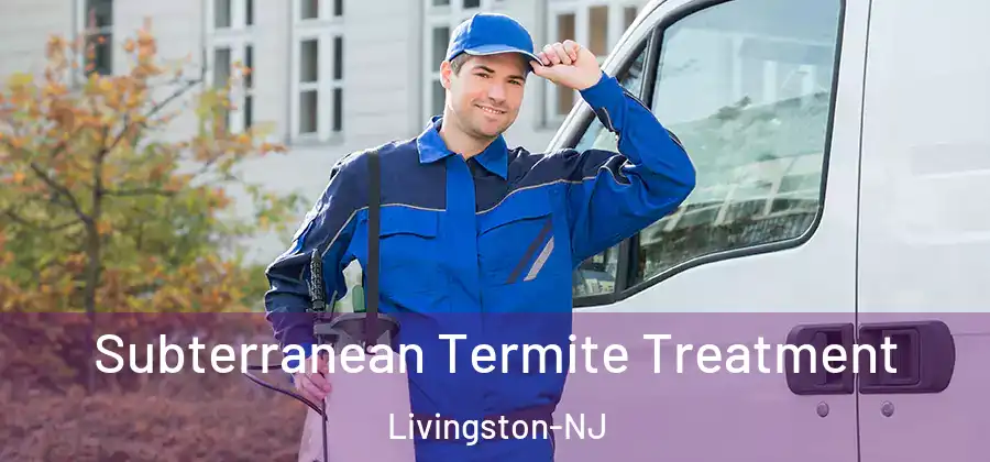 Subterranean Termite Treatment Livingston-NJ