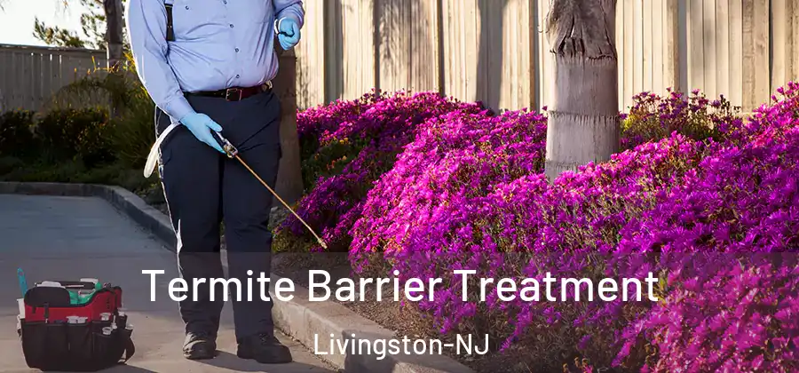 Termite Barrier Treatment Livingston-NJ