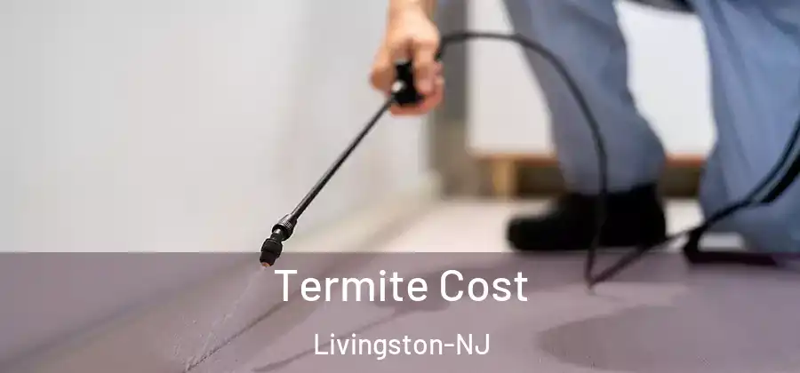 Termite Cost Livingston-NJ
