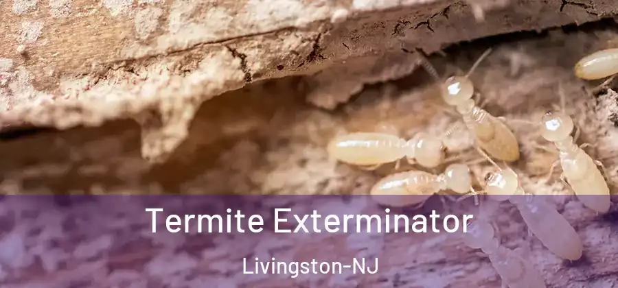  Termite Exterminator Livingston-NJ