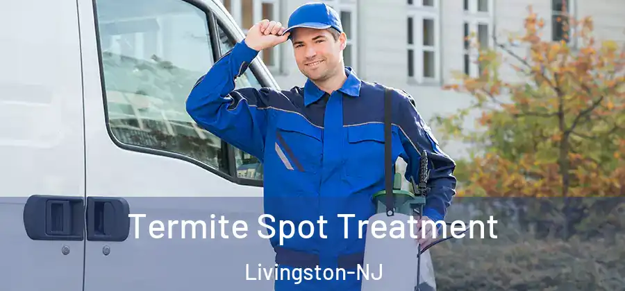 Termite Spot Treatment Livingston-NJ