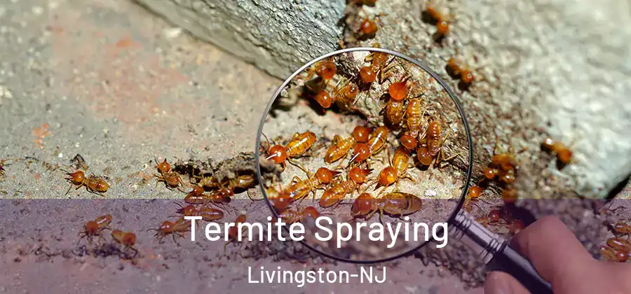 Termite Spraying Livingston-NJ