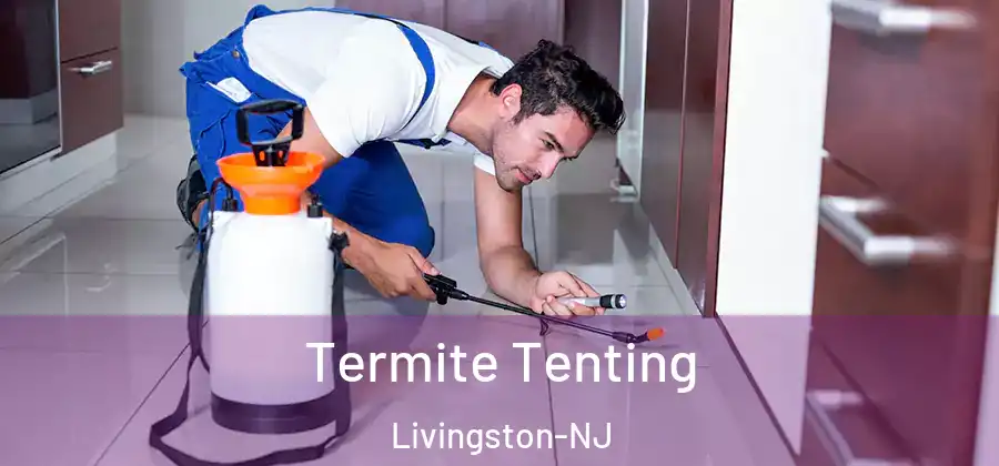 Termite Tenting Livingston-NJ