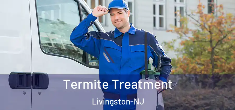 Termite Treatment Livingston-NJ
