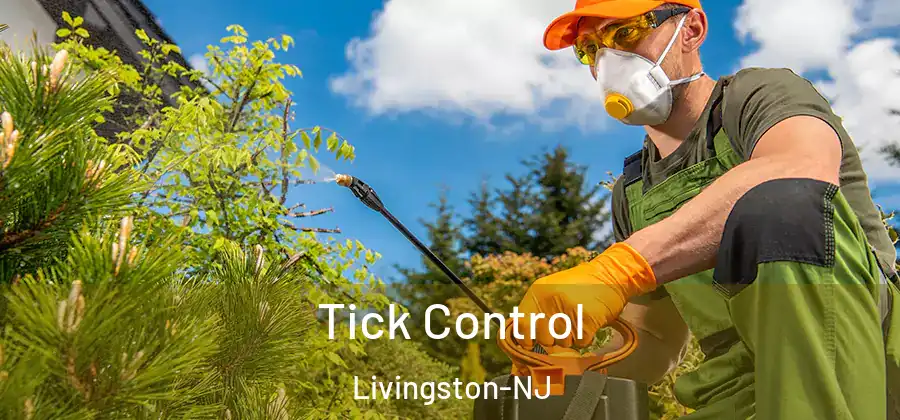 Tick Control Livingston-NJ