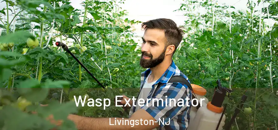 Wasp Exterminator Livingston-NJ