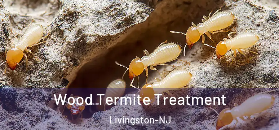  Wood Termite Treatment Livingston-NJ